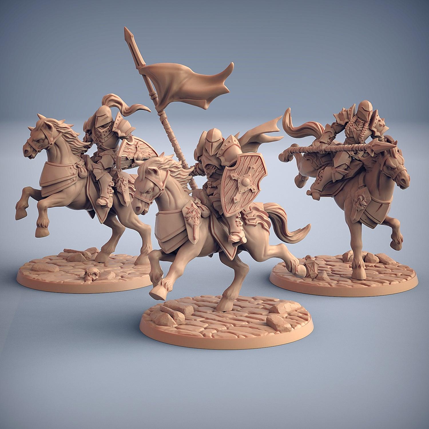 Fighters Guild Riders - 3 Modular Units - Monsters Minis